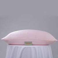 19 Momme Silk Pillowcase Pink