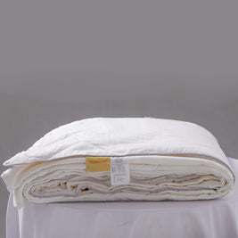 Ultra Cozy Linen Duvet Cover + Silk Comforter Set