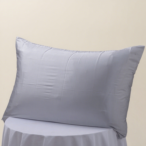 19 Momme Silk Pillowcase Silver Gray